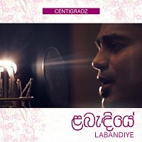 Přední strana obalu CD Labandiye