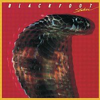 Blackfoot – Original Album Series