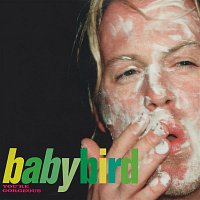 Babybird – You're Gorgeous