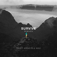 SAINT WKND & Max – Survive (Remixes)