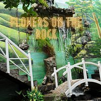 Dave Fisher – Flowers on the Rock