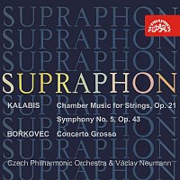 Přední strana obalu CD Kalabis: Komorní hudba pro smyčcové nástroje, V. symfonie op. 43 - Bořkovec: Concerto grosso