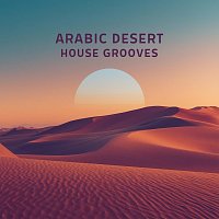 Přední strana obalu CD Arabic Desert House Grooves