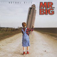 Mr. Big – Actual Size