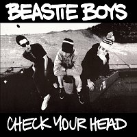 Přední strana obalu CD Check Your Head [Deluxe Edition/Remastered/2009]