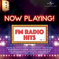Různí interpreti – Now Playing! FM Radio Hits, Vol. 1