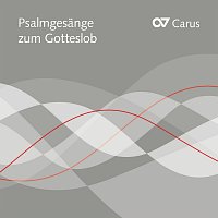 Různí interpreti – Psalmgesange zum Gotteslob