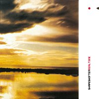 Shapeshifter – Real Time