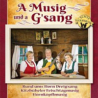 Různí interpreti – A Musig und a G'sang