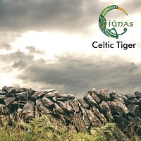 Přední strana obalu CD Celtic Tiger