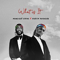 MOONLIGHT AFRIQA, Raheem DeVaughn – What Is It
