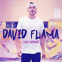 David Flama – Casi amigos