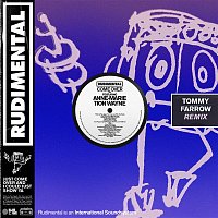 Rudimental – Come Over (feat. Anne-Marie & Tion Wayne) [Tommy Farrow Remix]