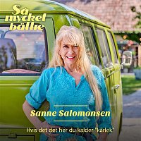 Sanne Salomonsen – Hvis dét, det her du kalder "karlek"