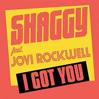 Shaggy, Jovi Rockwell – I Got You