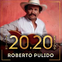 Roberto Pulido – Visión 20.20 Éxitos