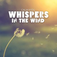 Přední strana obalu CD Whispers in the Wind