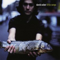 David Usher – Little Songs
