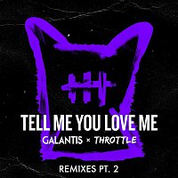 Galantis & Throttle – Tell Me You Love Me Remixes (pt.2)