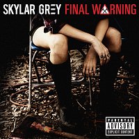 Skylar Grey – Final Warning