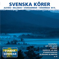 Svenska korer