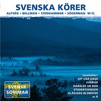 Různí interpreti – Svenska korer