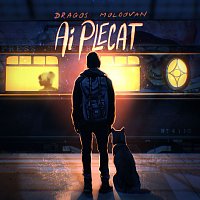 Přední strana obalu CD Ai plecat