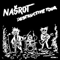 Destructive Tour