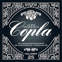 Various  Artists – Lo Más Grande De la Copla - Vol. 25