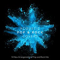 Přední strana obalu CD Acoustic Pop and Rock Covers: 14 New Arrangements of Pop and Rock Hits