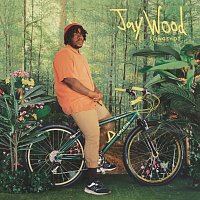 Jaywood – Slingshot
