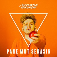 Aleksanteri Hakaniemi – Pane mut sekasin