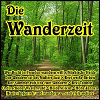 Přední strana obalu CD Die Wanderzeit