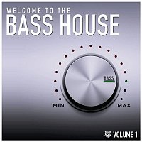 Welcome to the Bass House