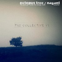 TRD Collective v1
