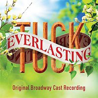 Přední strana obalu CD Tuck Everlasting (Original Broadway Cast Recording)