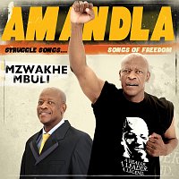 Mzwakhe Mbuli – Amandla