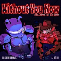 Digital Farm Animals & AJ Mitchell – Without You Now (feat. AJ Mitchell) (Franklin Remix)