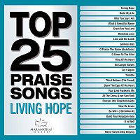 Přední strana obalu CD Top 25 Praise Songs - Living Hope