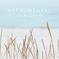 Přední strana obalu CD Instrumental Calm Covers