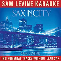 Přední strana obalu CD Sam Levine Karaoke - Sax In The City