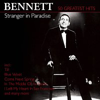 Přední strana obalu CD Stranger in Paradise - 50 Greatest Hits