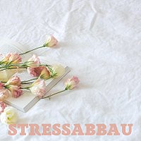 Přední strana obalu CD Stressabbau