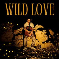 Danny Aridi – Wild Love