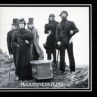 McGuinness Flint