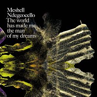 Meshell Ndegeocello – The World Has Made Me The Man Of My Dreams