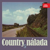 Různí interpreti – Country nálada 5