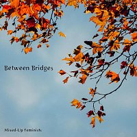 Přední strana obalu CD Between Bridges
