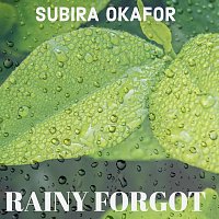 Přední strana obalu CD Rainy Forgot