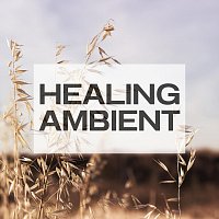 Entspannungsmusik Gemafrei, Musik Gemafrei, Lizenzfreie Musik – Healing Ambient